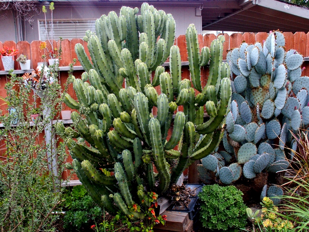 Sharon's Garden | Ted's Outdoor World